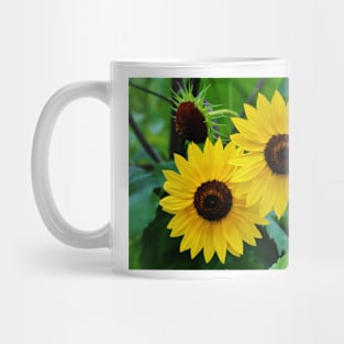 Lemon Sunflowers Mug